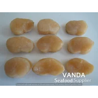 Daging Kerang Scallop Kapak Mentah