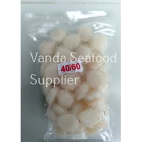 Kerang Scallop Simping @ 500 gr