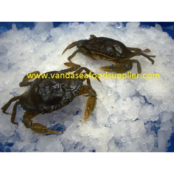 Soft Shell Crab (Crab Soka)