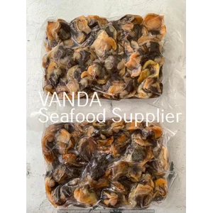 Kerang Dara Segar @ 1kg
