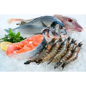 Supplier Seafood 