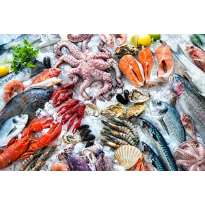 Keunggulan Supplier Seafood Lokal Dibanding Impor