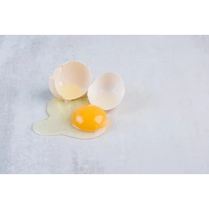 ??Kuning telur bebek